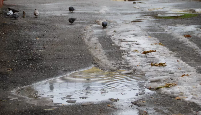 С минуса на плюс: волна потепления придет в Алтайский край после зябких ночей