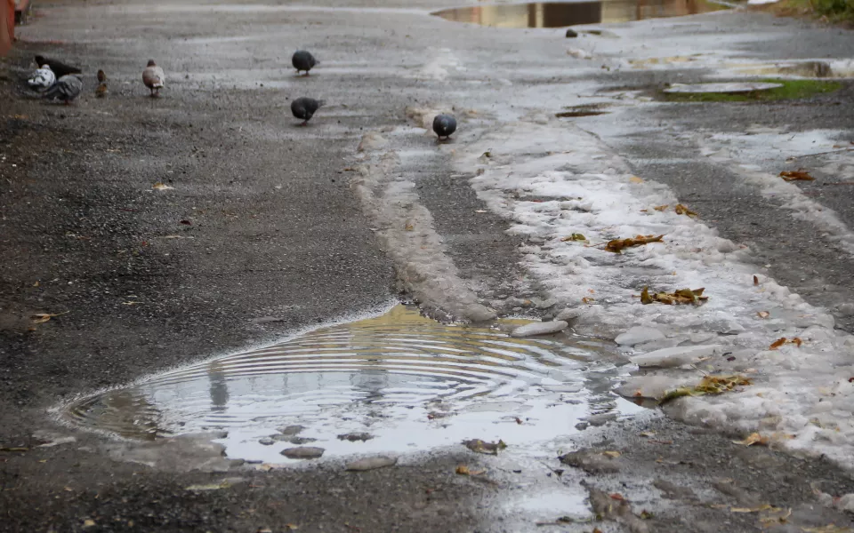 С минуса на плюс: волна потепления придет в Алтайский край после зябких ночей