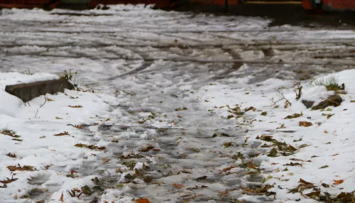 Сезон открыт: дворы Барнаула начали превращаться в снежное болото. Фото