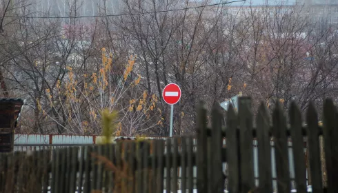 Палки в колеса телеги. Как ситуация с Telegram может повлиять на алтайский бизнес