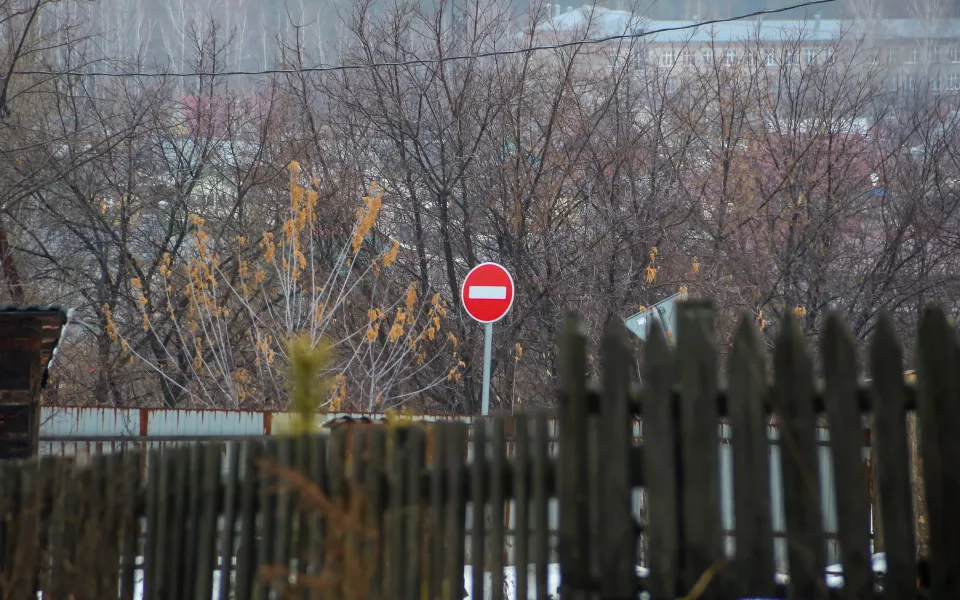 Теперь 35. В Алтайском крае нашли еще пять очагов бешенства, один из них в Барнауле