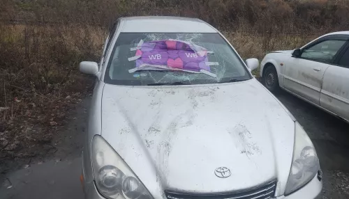 Неизвестные разбили несколько автомобилей в Бийске и, скрываясь, бросили свой