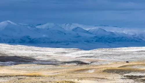 В Сайлюгемском нацпарке показали Южно-Чуйский хребет, покрытый вечными снегами. Фото