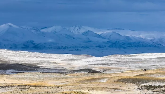 В Сайлюгемском нацпарке показали Южно-Чуйский хребет, покрытый вечными снегами. Фото