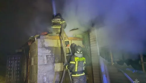 Пожар в барнаульском поселке унес жизни мужчины и женщины