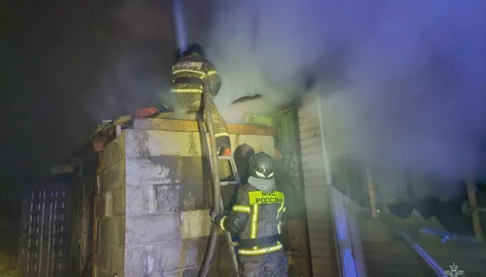 Пожар в барнаульском поселке унес жизни мужчины и женщины