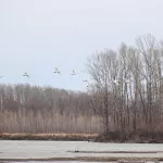 Дрожали окна: бийчан напугала серия громких хлопков