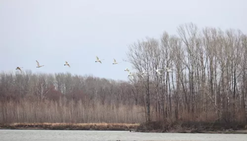 Дрожали окна: бийчан напугала серия громких хлопков