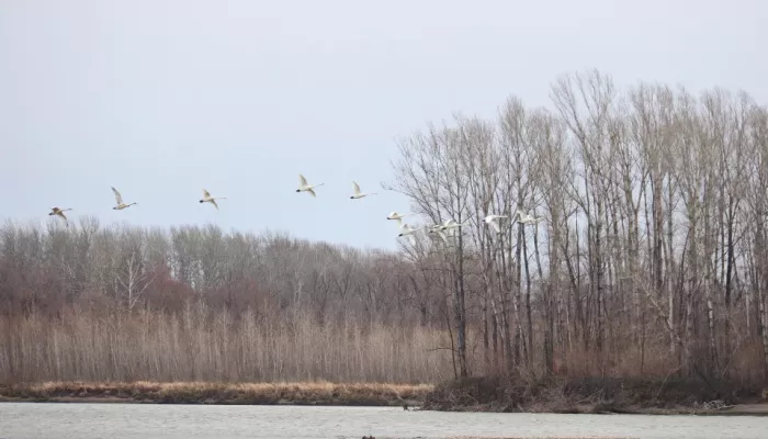 Дрожали окна: бийчан напугала серия громких хлопков