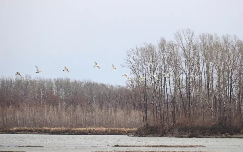 Дрожали окна: бийчан напугала серия громких хлопков