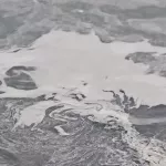 Бетон, бензин или солярка: эксперты проверят, что за странная жижа плавает в Бии