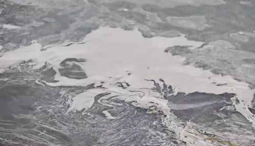 Бетон, бензин или солярка: эксперты проверят, что за странная жижа плавает в Бии