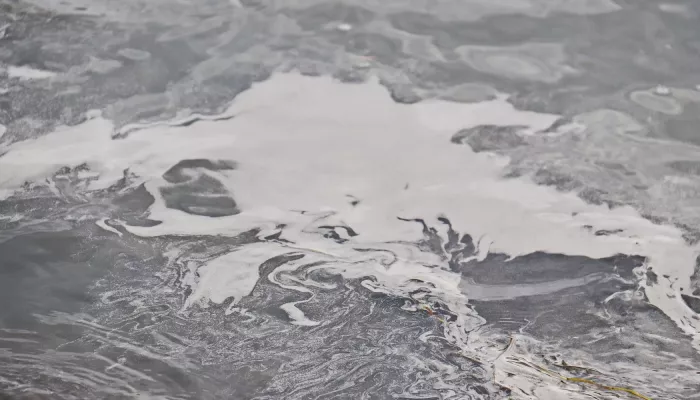 Бетон, бензин или солярка: эксперты проверят, что за странная жижа плавает в Бии