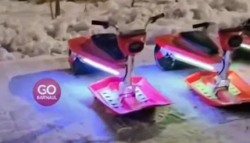 Замена самокатам: в барнаульском парке Юбилейный заметили электроснегокаты