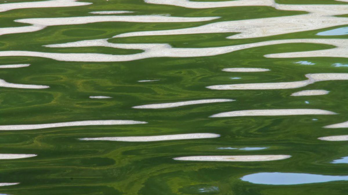 Водная гладь