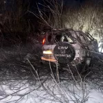 Вылетел с трассы: два человека погибли в жестком ДТП в Новосибирской области