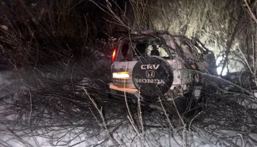 Вылетел с трассы: два человека погибли в жестком ДТП в Новосибирской области