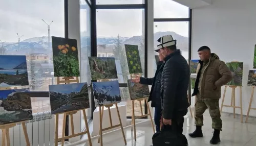 В Киргизии открылась выставка, посвященная природе Катунского заповедника