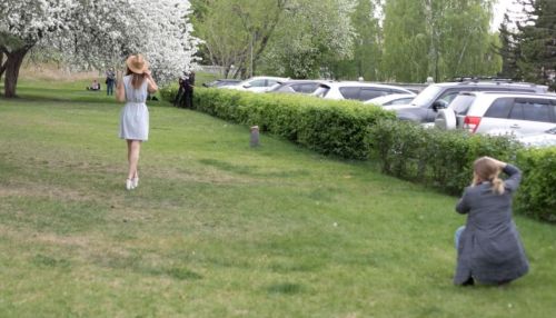 Фотопрогулка по Барнаулу под цветущими яблонями