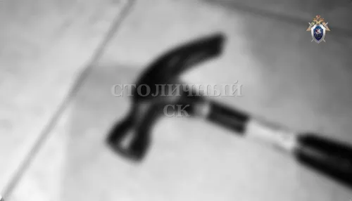 Мы тяжелобольны: стал известен диагноз москвички, забившей молотком своего сына