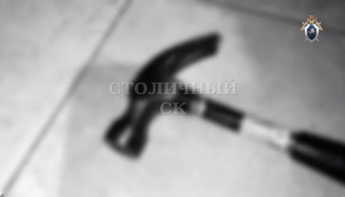 Москвичка убила своего сына и пыталась покончить с собой, оставив странную записку