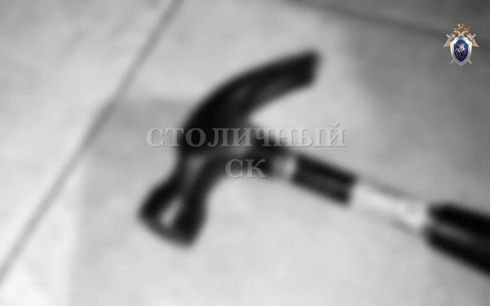 Мы тяжелобольны: стал известен диагноз москвички, забившей молотком своего сына