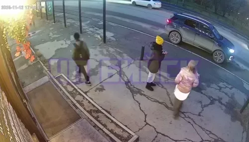 Подозрительный мужчина в Бийске зазывал детей в свой автомобиль