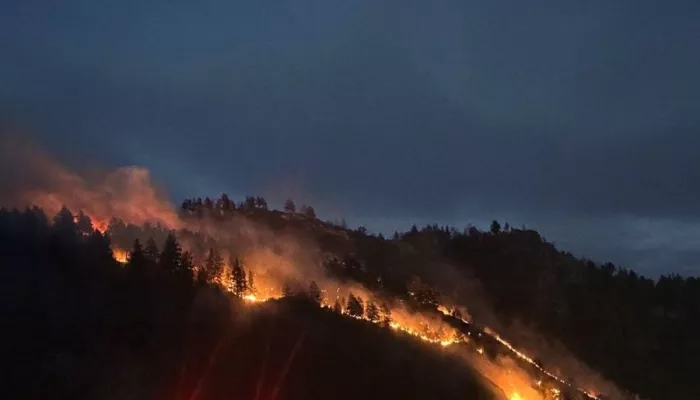 В урочище Узюк Чемальского района потушили масштабный ландшафтный пожар