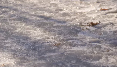 Морозы нагрянули в Алтайский край после февральских дождей