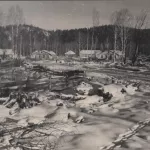 Экоутопия 60-х: когда и где на Алтае существовал Кедроград и как он выглядел. Фото