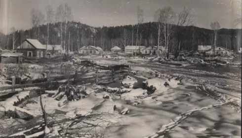 Экоутопия 60-х: когда и где на Алтае существовал Кедроград и как он выглядел. Фото