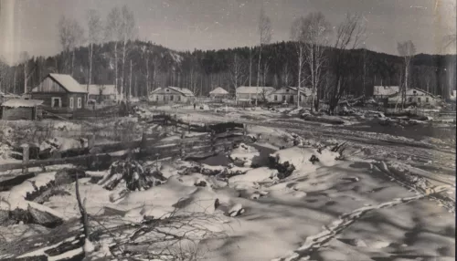 Экоутопия 60-х: когда и где на Алтае существовал Кедроград и как он выглядел. Фото