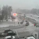 Мощный снегопад накрыл Барнаул вечером 13 ноября