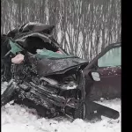 Три человека погибли в жестком ДТП на новосибирской трассе