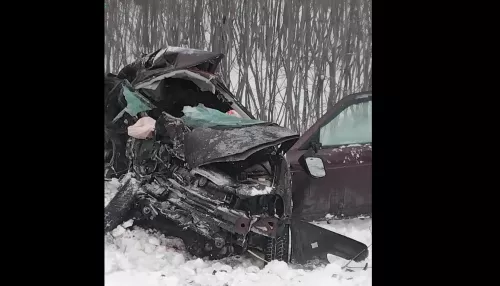 Три человека погибли в жестком ДТП на новосибирской трассе