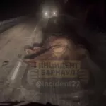 Арабское ДТП: верблюда сбили на трассе в Алтайском крае