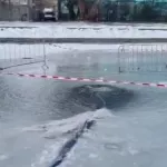Для карпов в пруду барнаульского парка Изумрудный установили аэратор