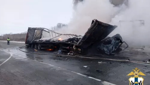 Сгорел дотла: жесткое ДТП с тремя грузовиками произошло в Новосибирской области