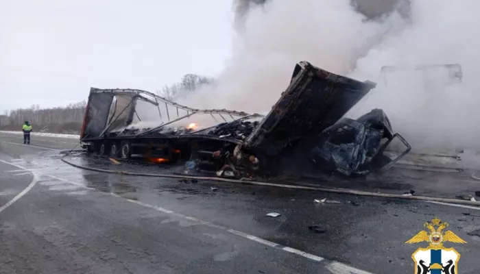 Сгорел дотла: жесткое ДТП с тремя грузовиками произошло в Новосибирской области