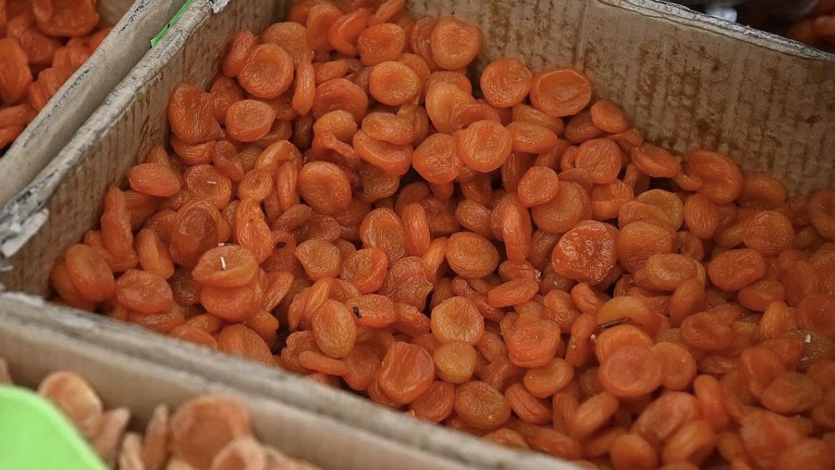 Ярмарки 15 ноября