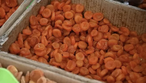 Мороз не испугал: барнаульцы потратили на финальных ярмарках осени 8,5 млн рублей