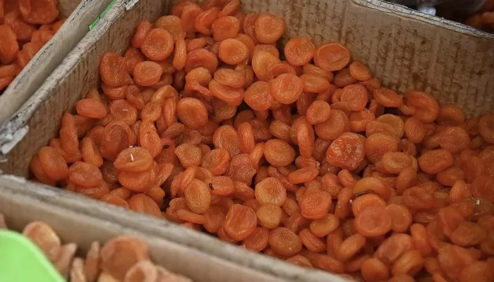 Мороз не испугал: барнаульцы потратили на финальных ярмарках осени 8,5 млн рублей