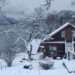 Белое покрывало: берега Телецкого озера укрыло снегом. Фото