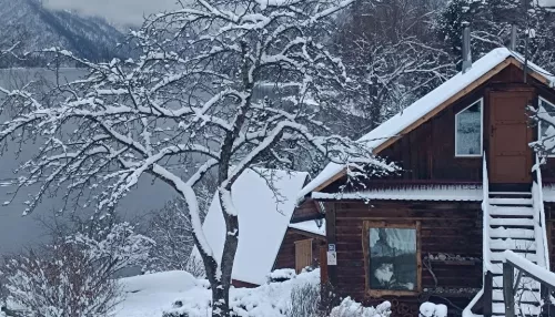 Белое покрывало: берега Телецкого озера укрыло снегом. Фото