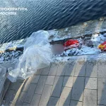 Что известно об убийстве ребенка в Балашихе, голову которого нашли в московском пруду