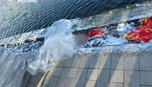 Что известно об убийстве ребенка в Балашихе, голову которого нашли в московском пруду