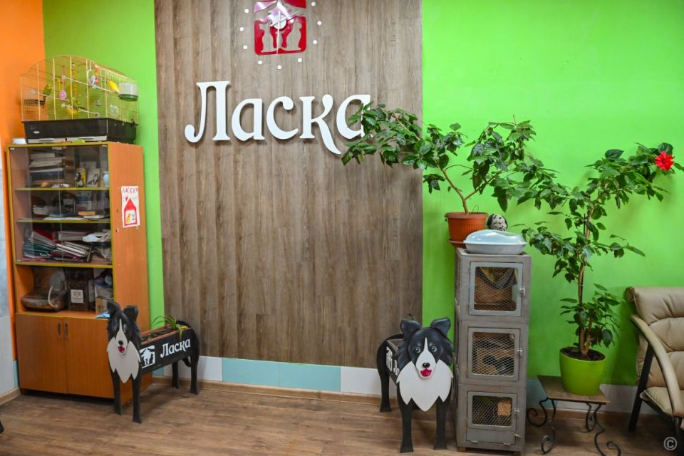 Администрация Барнаула провела выездное совещание на территории приюта "Ласка"