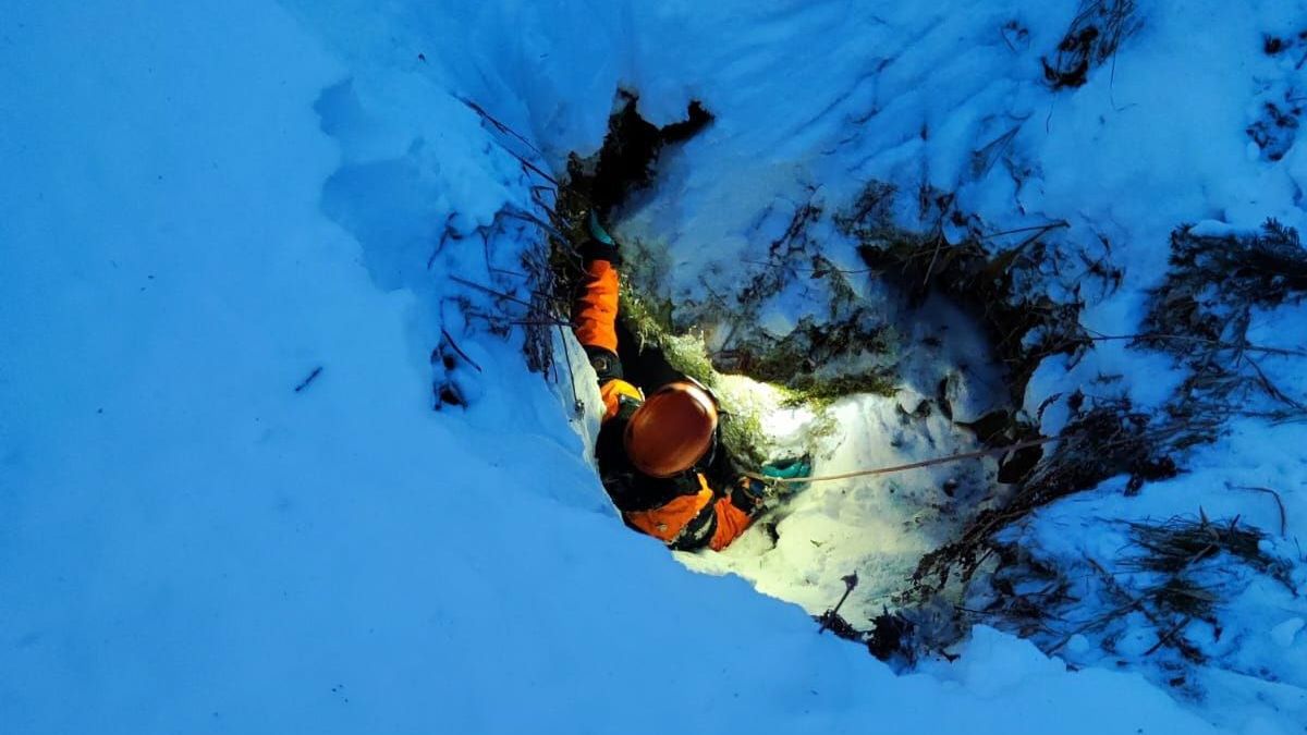 Поиски Усольцевых