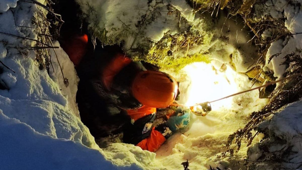 Поиски Усольцевых