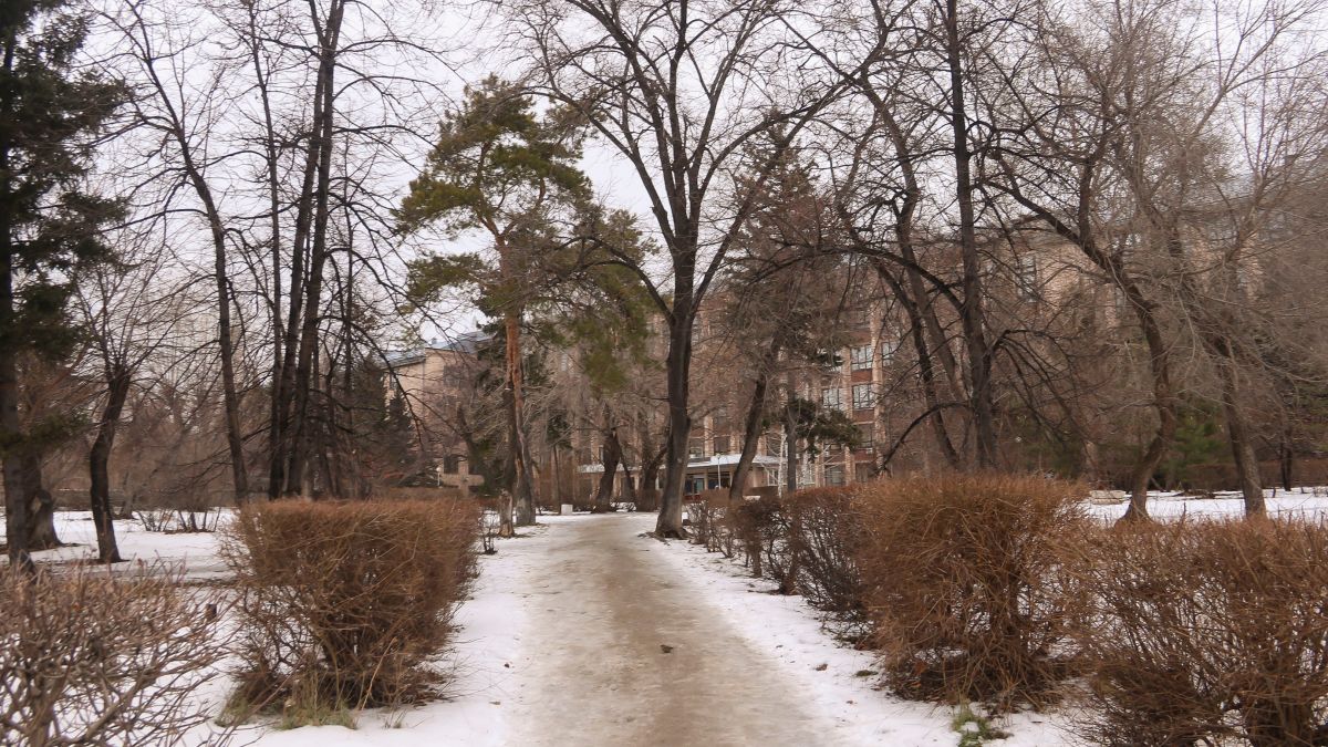 Конец осени в Барнауле